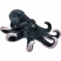 Winky Octopus