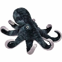 Winky Octopus