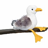 Seymour Seagull