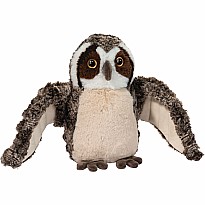 Echo Owl