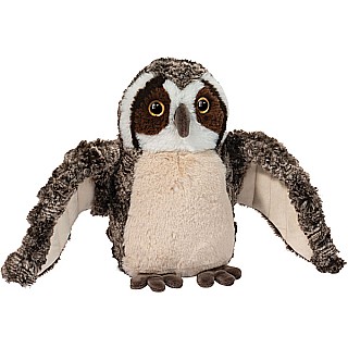 Echo Owl