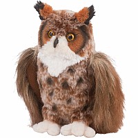 Einstein - Great Horned Owl