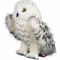 Legend Snowy Owl