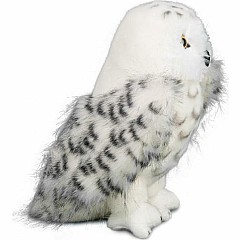 Legend Snowy Owl