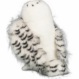 Legend Snowy Owl
