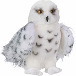 Wizard Snowy Owl