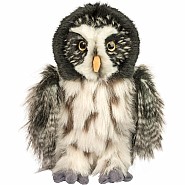 Darius Great Gray Owl*