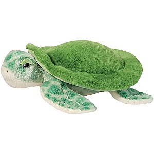 Drift Sea Turtle
