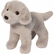 Slate Silver Lab