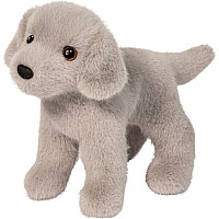 Slate Silver Lab