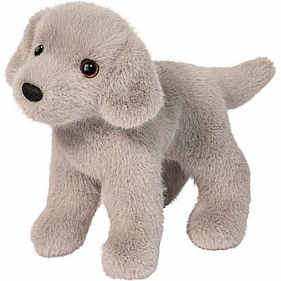 Slate Silver Lab