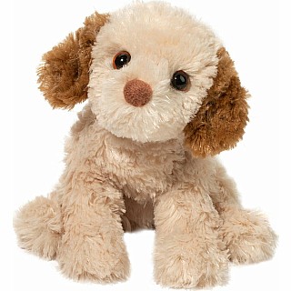 Biscuit Cavapoo