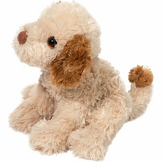 Biscuit Cavapoo