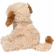 Biscuit Cavapoo