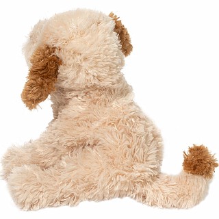 Biscuit Cavapoo