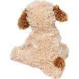 Biscuit Cavapoo