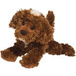Bosco Chocolate Labradoodle