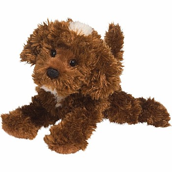 Bosco Chocolate Labradoodle