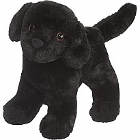Abraham Black Lab