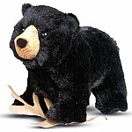 Morley Black Bear.