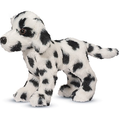 Dooley Dalmatian