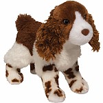 Flair Springer Spaniel