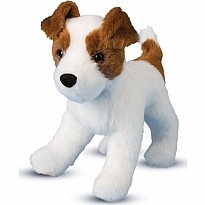 Feisty Jack Russel Terrier