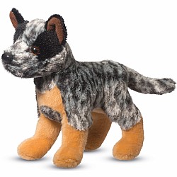 Clangr Aus Cattle Dog