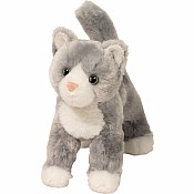 Scatter Gray Cat