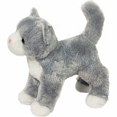 Scatter Gray Cat