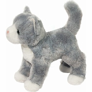 Scatter Gray Cat