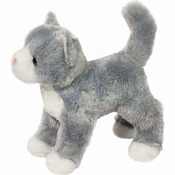 Scatter Gray Cat