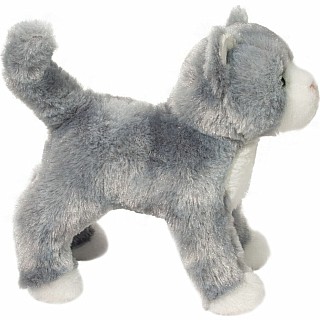 Scatter Gray Cat