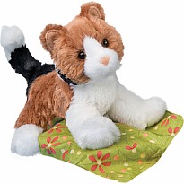 Maps Calico Cat
