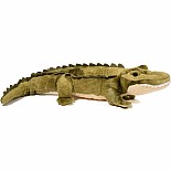 Stream Line Alligator