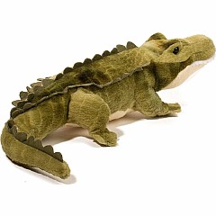 Stream Line Alligator