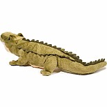 Stream Line Alligator