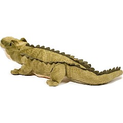 Stream Line Alligator