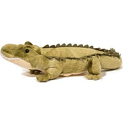 Stream Line Alligator