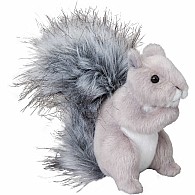 Shasta Gray Squirrel