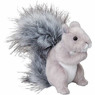 Shasta Gray Squirrel