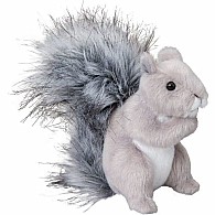 Shasta Gray Squirrel