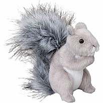 Shasta Gray Squirrel