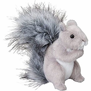 Shasta Gray Squirrel