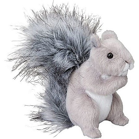 Shasta Grey Squirrel