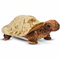 Speedy Tortoise Plush