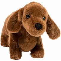 Dilly Dachshund
