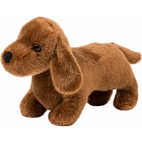 Dilly Dachshund