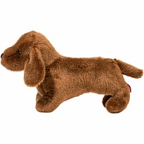 Dilly Dachshund