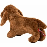 Dilly Dachshund